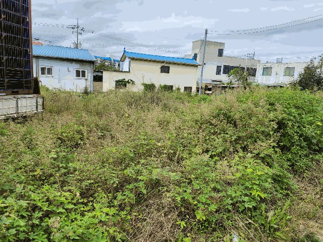 B000281202501300160121.jpg