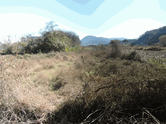 B000281202501300160724.jpg