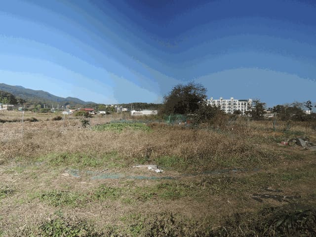 B000281202501300160722.jpg