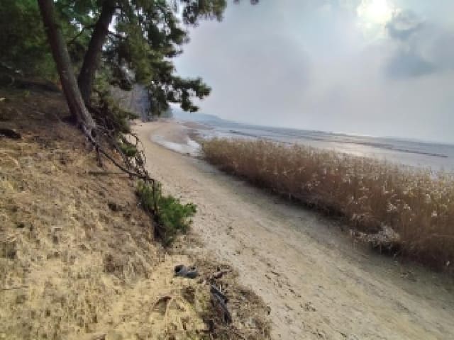 B000281202501300161171.jpg