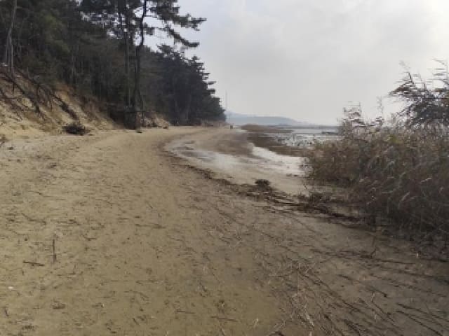B000281202501300161173.jpg