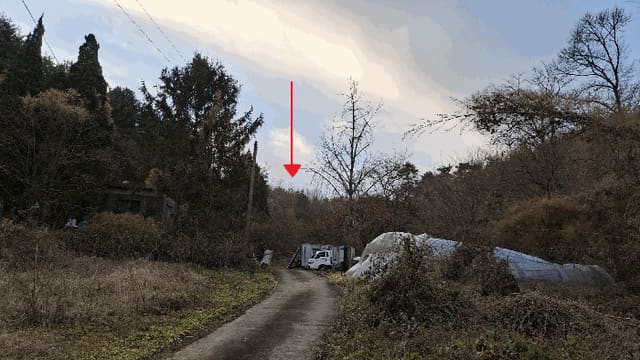 B000281202501300161344.jpg
