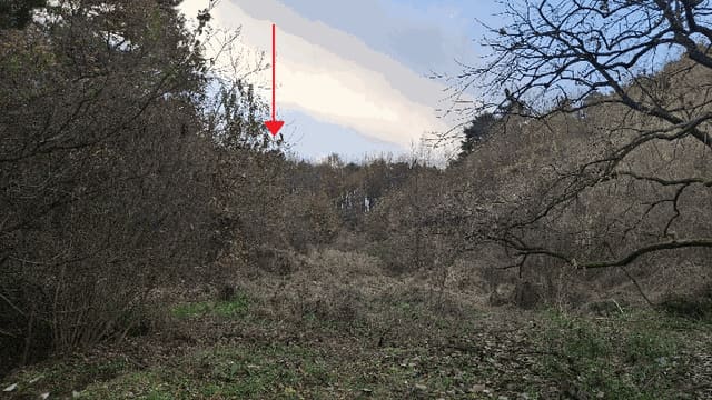 B000281202501300161343.jpg