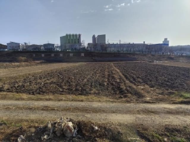 B000281202501300161423.jpg