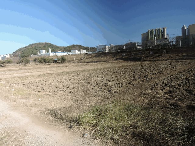 B000281202501300161424.jpg