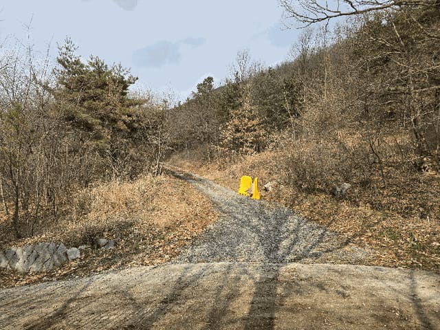 B000281202501300161544.jpg