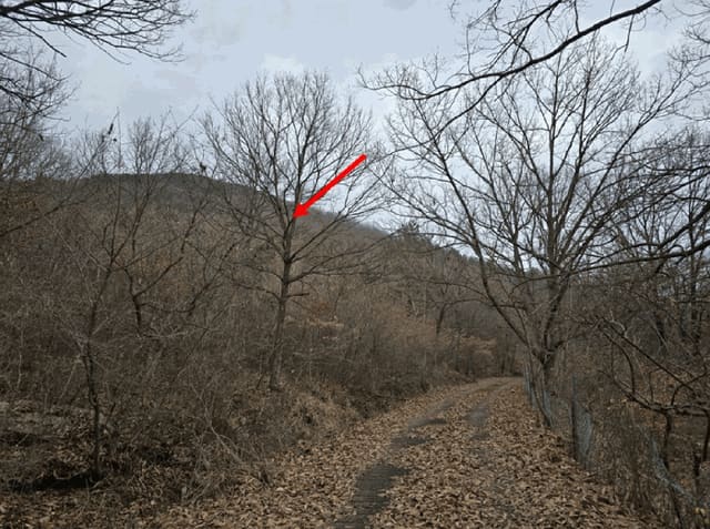 B000281202501300161543.jpg