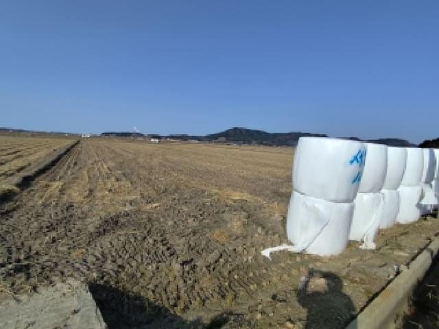 B000281202501300161562.jpg