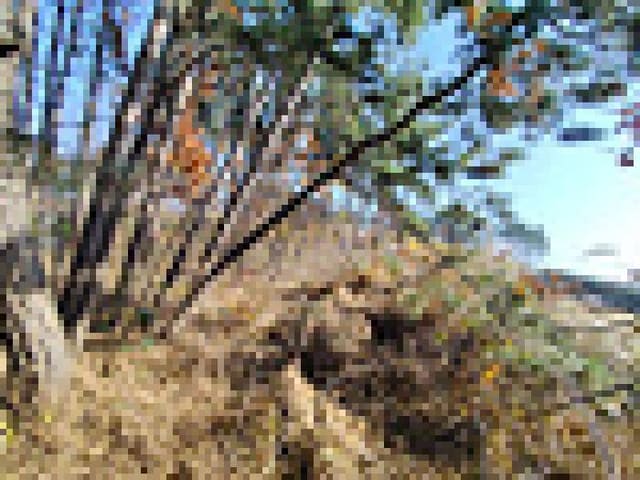 B000281202501300161561.jpg