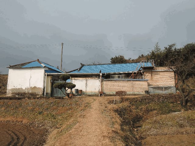 B000281202501300161592.jpg