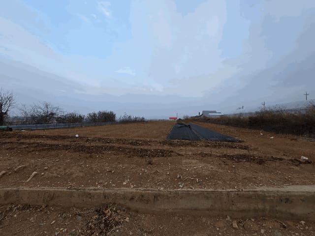 B000281202501300161743.jpg
