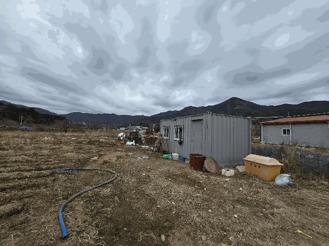 B000281202501300162104.jpg