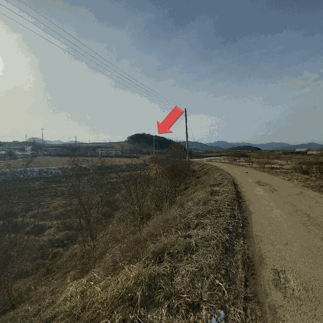 B000281202501300162294.jpg