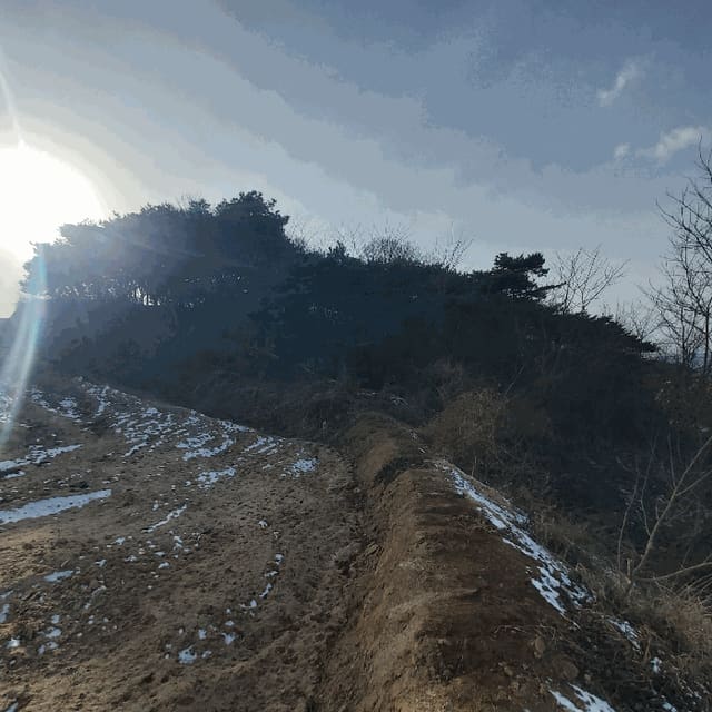 B000281202501300162292.jpg
