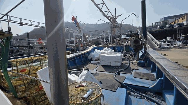 B000281202601300150193.jpg