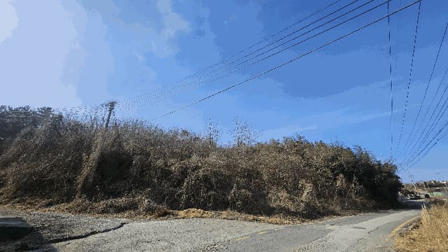 B000281202601300150661.jpg