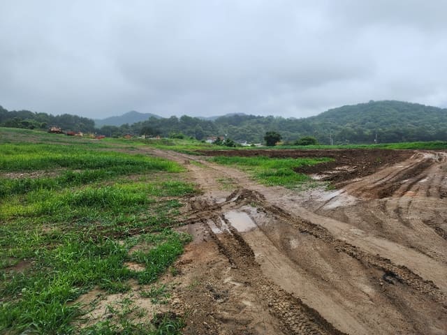 B000282202301300008483.jpg