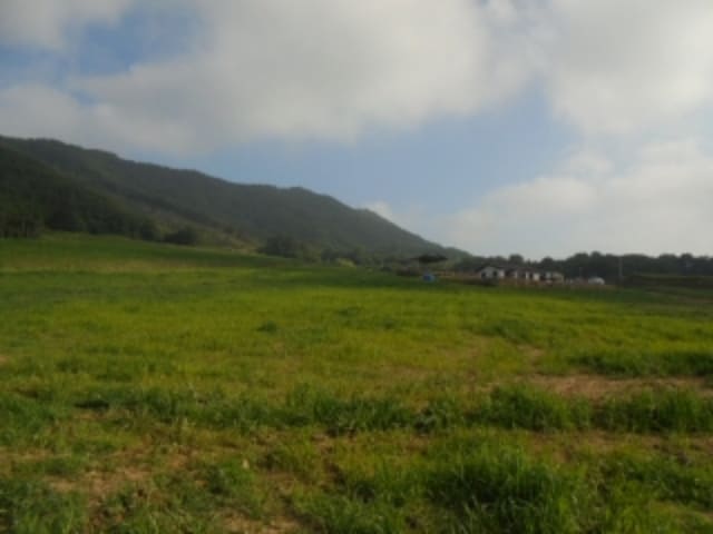 B000282202301300008481.jpg