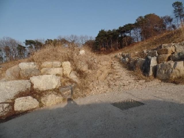 B000282202401300018862.jpg