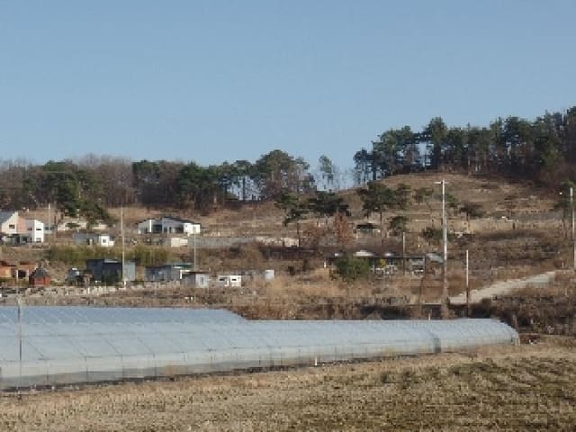 B000282202401300018864.jpg