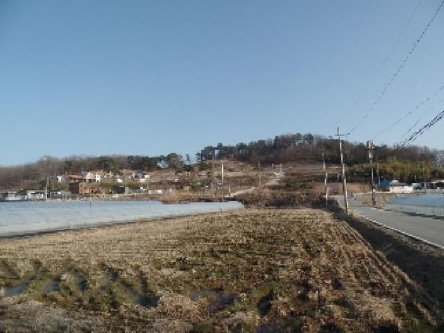 B000282202401300018863.jpg