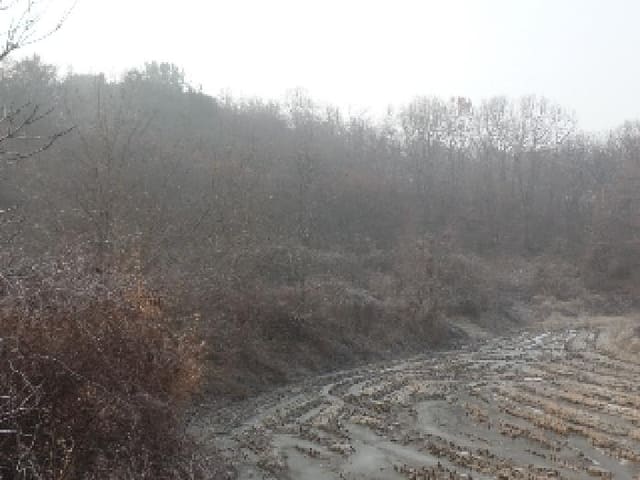 B000282202401300019231.jpg