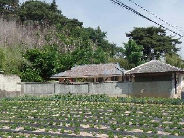B000282202501300003092.jpg