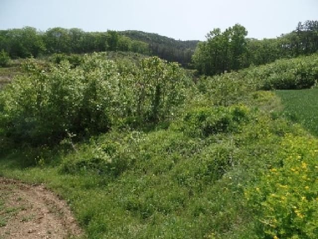B000282202501300004011.jpg