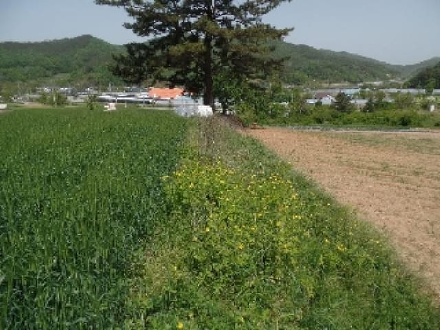 B000282202501300004013.jpg