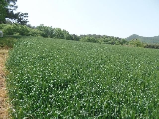 B000282202501300004012.jpg