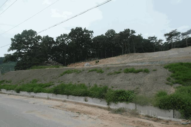 B000282202501300004224.jpg