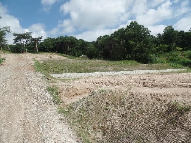 B000282202501300004222.jpg