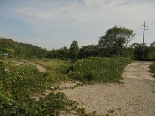 B000282202501300004233.jpg