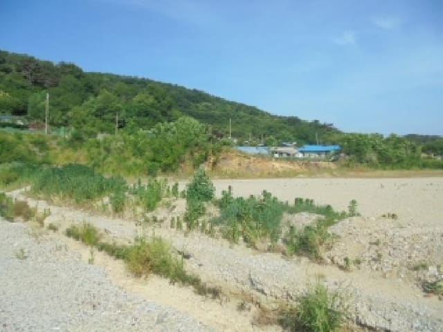 B000282202501300004232.jpg