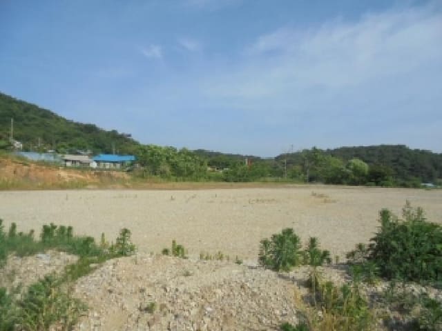 B000282202501300004234.jpg