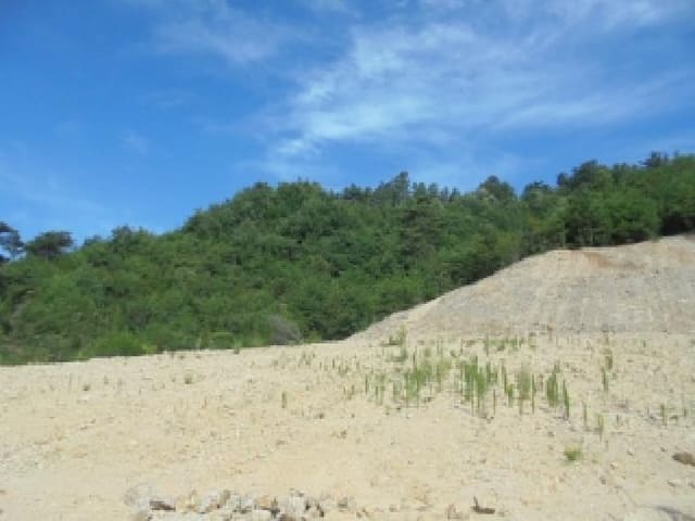 B0002822025013000043038.jpg