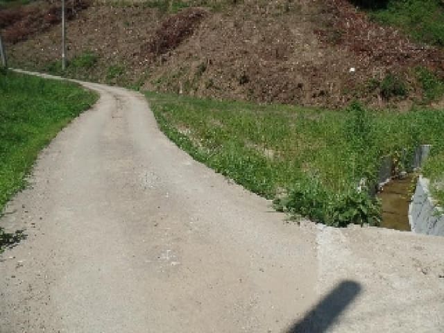 B000282202501300004412.jpg