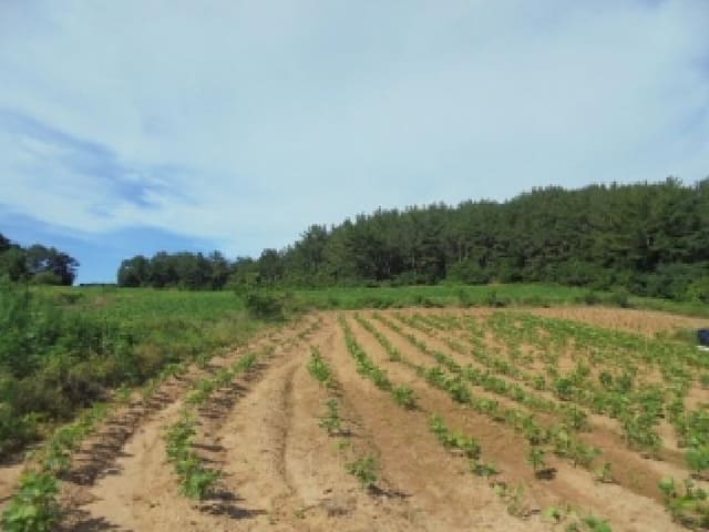 B000282202501300004472.jpg