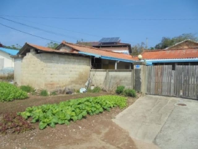 B000282202501300004483.jpg