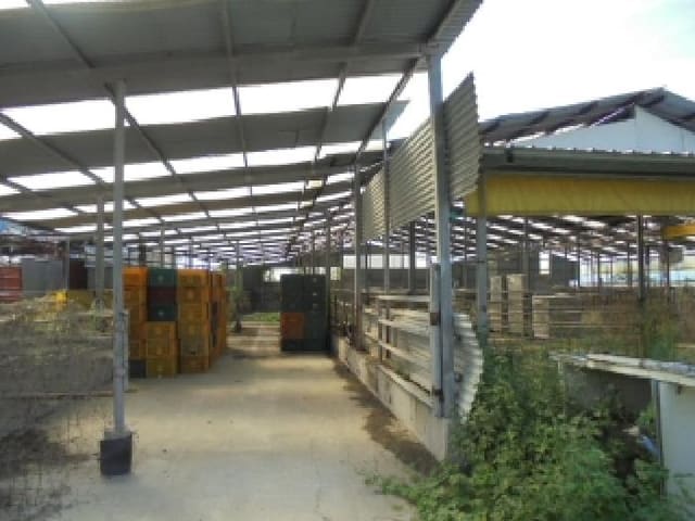 B000282202501300004502.jpg