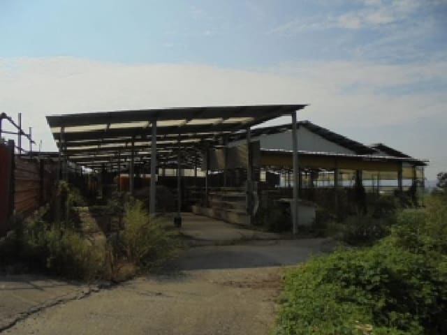 B000282202501300004501.jpg