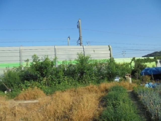 B000282202501300004541.jpg