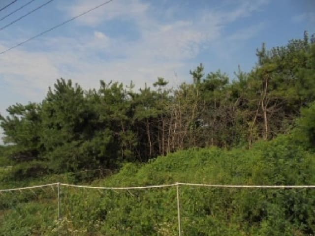 B000282202501300004552.jpg