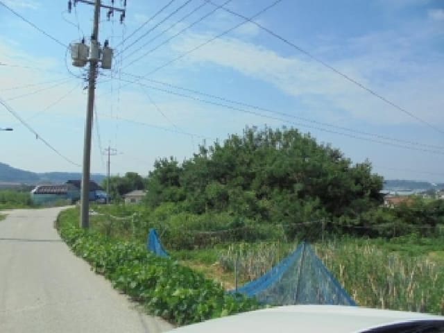 B000282202501300004551.jpg