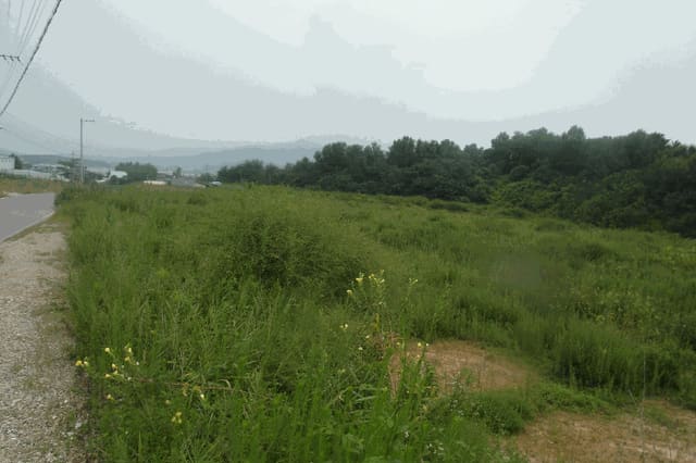 B000282202501300004603.jpg
