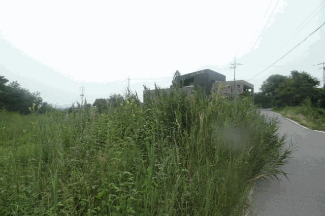 B000282202501300004604.jpg