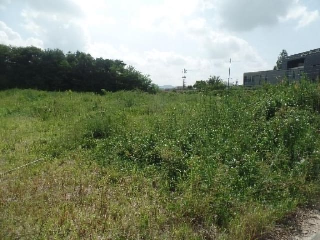 B000282202501300004601.jpg
