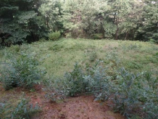 B000282202501300004684.jpg