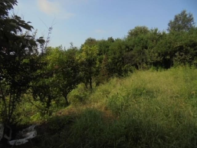 B000282202501300004691.jpg