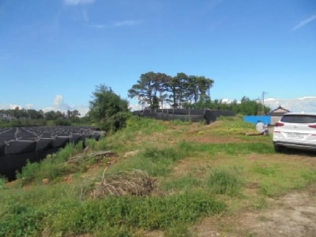 B000282202501300004762.jpg